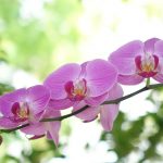 脾气不好就改嘛(图)